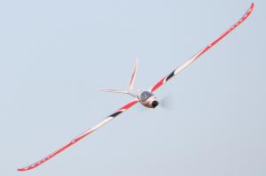 Модель планера ROC V-tail Glider ARF Thumbnail 2