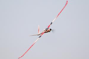 Модель планера ROC V-tail Glider ARF Thumbnail 1