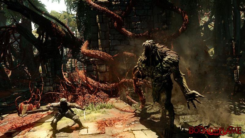 Bound By Flame (PS4) Фотография 1