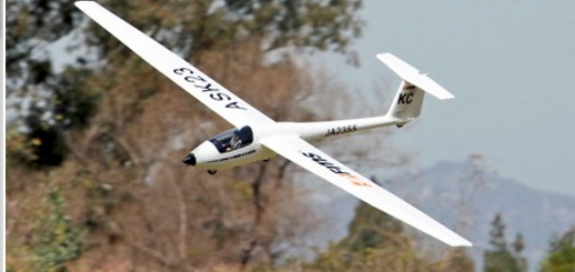 Модель планера FMS ASK 23 Фотография 1