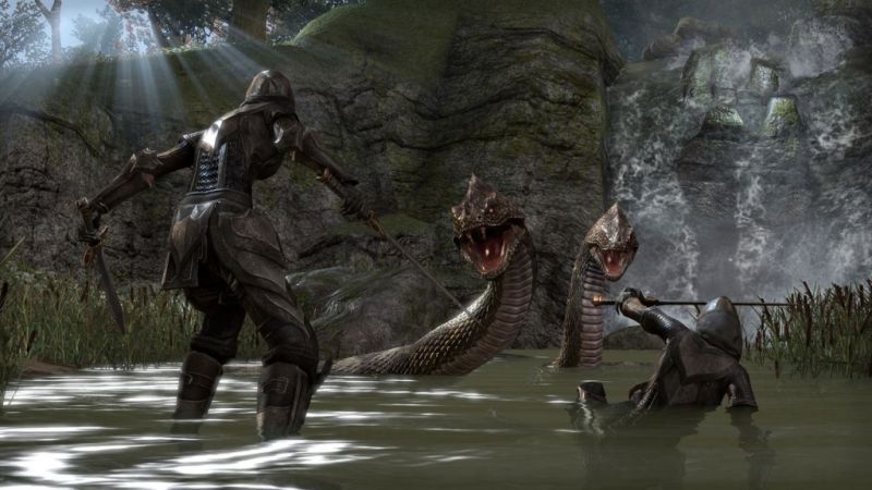 Elder Scrolls Online: Tamriel Unlimited (PS4) Фотография 4