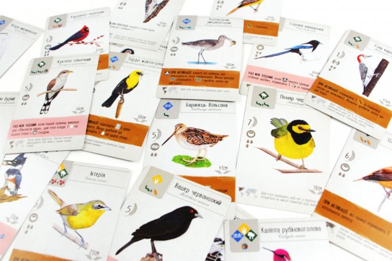 Настольная игра Крила (Wingspan) Фотография 3