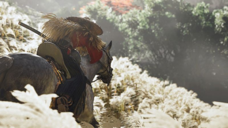 Ghost of Tsushima (PS4) Фотография 4