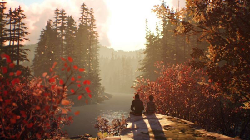 Life is Strange 2 (PS4) Фотография 5