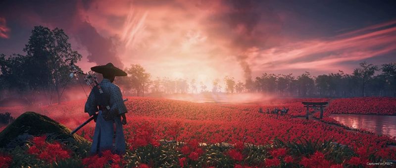 Ghost of Tsushima Directors Cut (PS4) Фотография 1