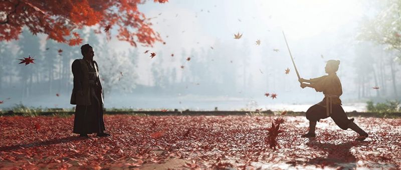 Ghost of Tsushima Directors Cut (PS4) Фотография 3