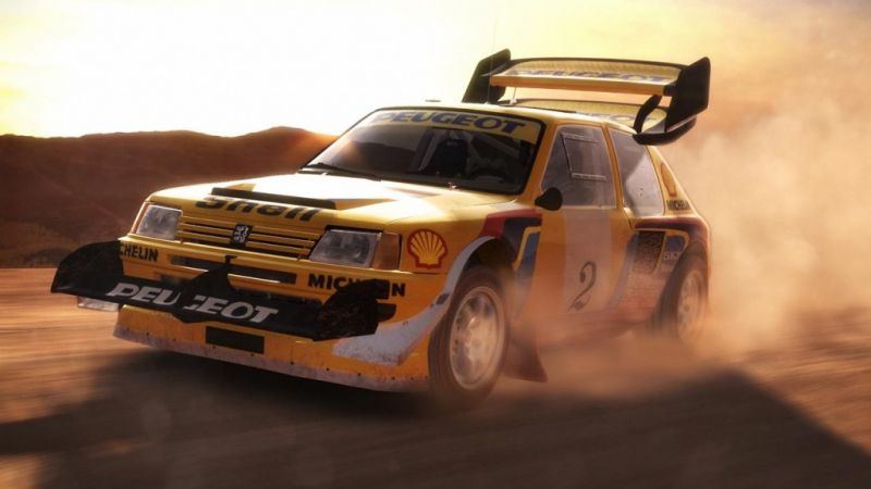 DiRT Rally (PS4) Фотография 5