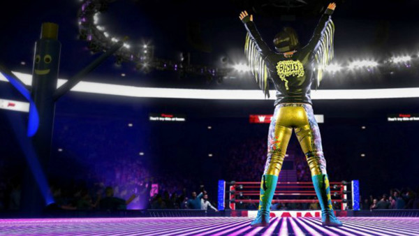 WWE 2K20 (PS4) Фотография 2