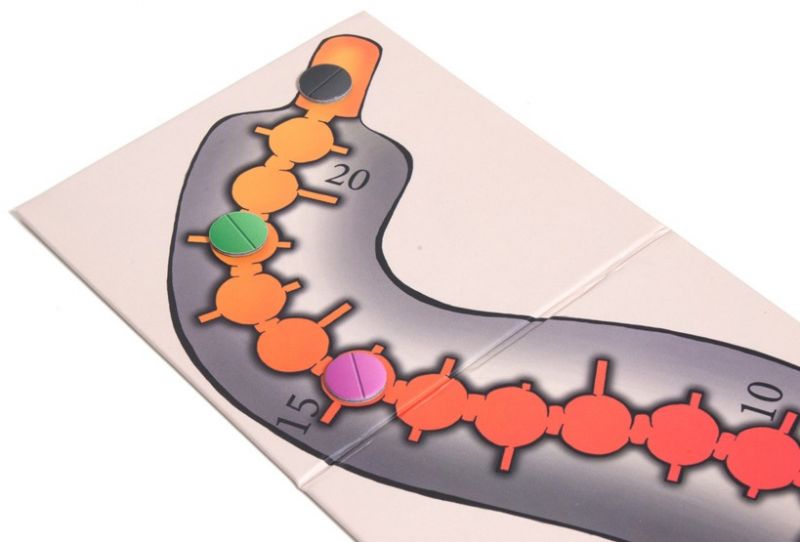 Опята Фотография 5