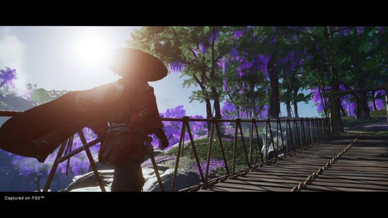 Ghost of Tsushima Directors Cut (PS5) Фотография 4