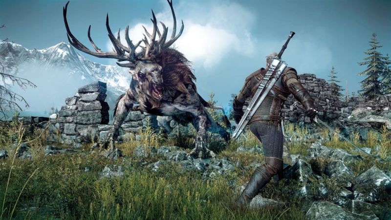 The Witcher 3: Wild Hunt (Xbox One) Фотография 1