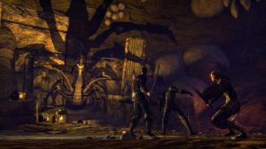 Elder Scrolls Online: Tamriel Unlimited (PS4) Thumbnail 2