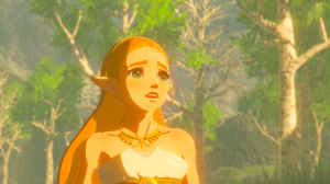 The Legend of Zelda Breath of the Wild (Nintendo Switch) Thumbnail 5